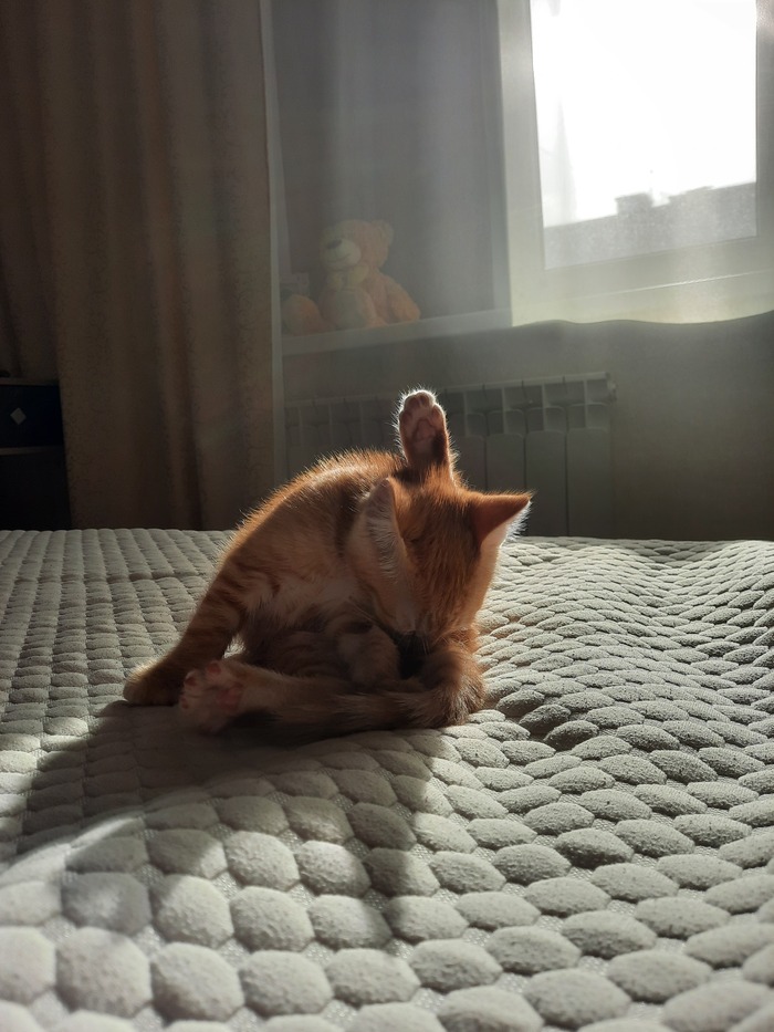 ���� ���� �� ����� �������:)