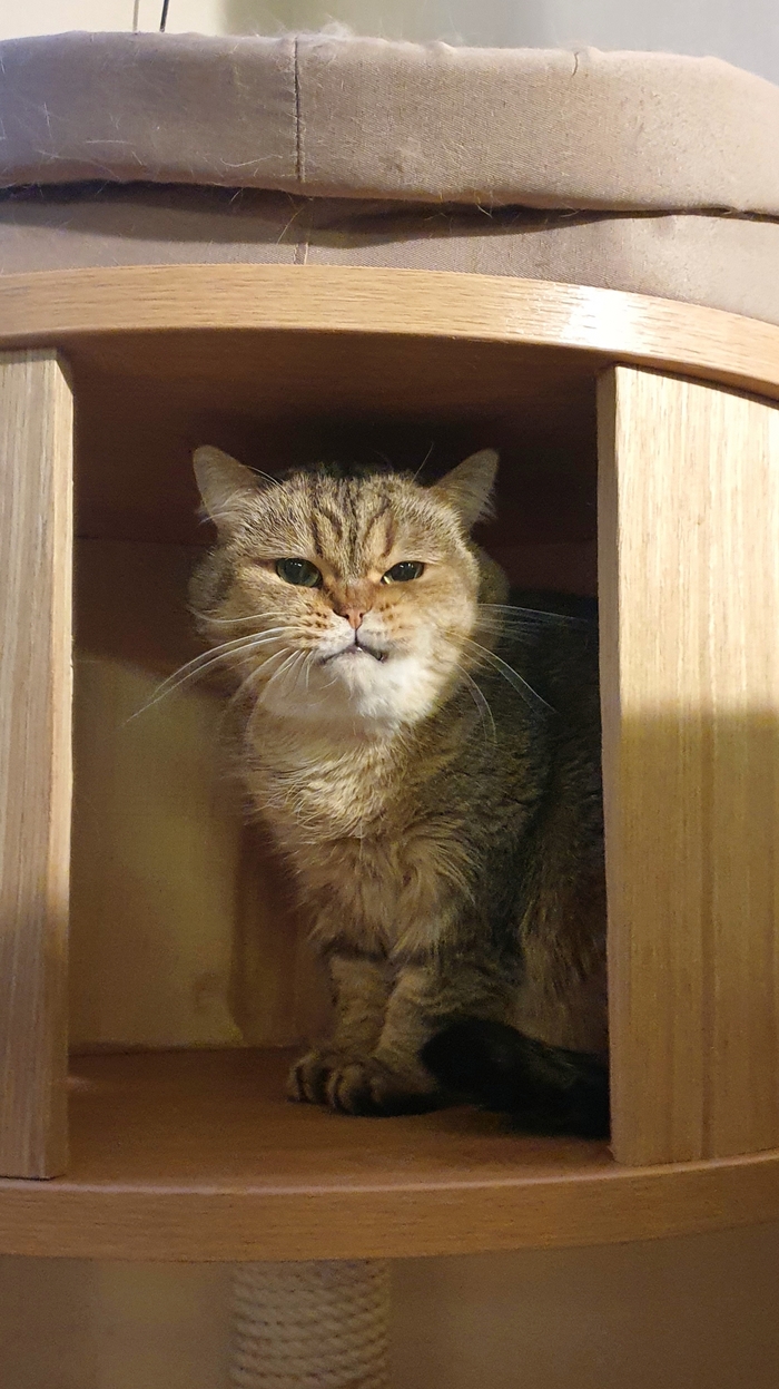 ��, ����!