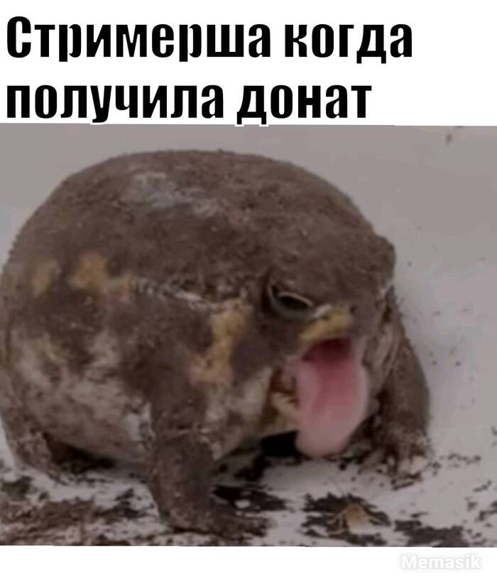 Жиза