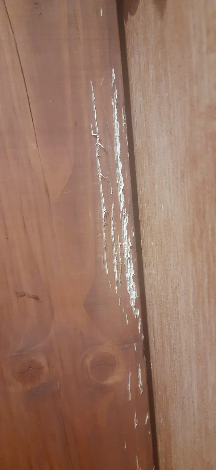 Scratches on the tree - cat, Scratch, Restoration, Vital, Need help with repair, Longpost