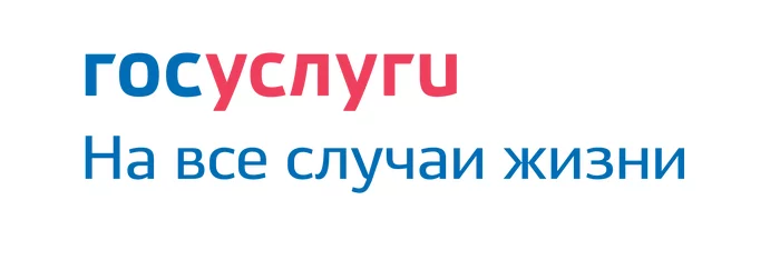 Пользователям интернет-портала Государственных услуг вскоре станут доступны негосударственные услуги - Новости, Политика, Госуслуги, Электронное правительство, Правительство, Михаил Мишустин, Экономика, Россия