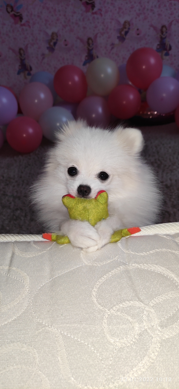 � ����� �� ���� "�� ������� ������ �� ����������"