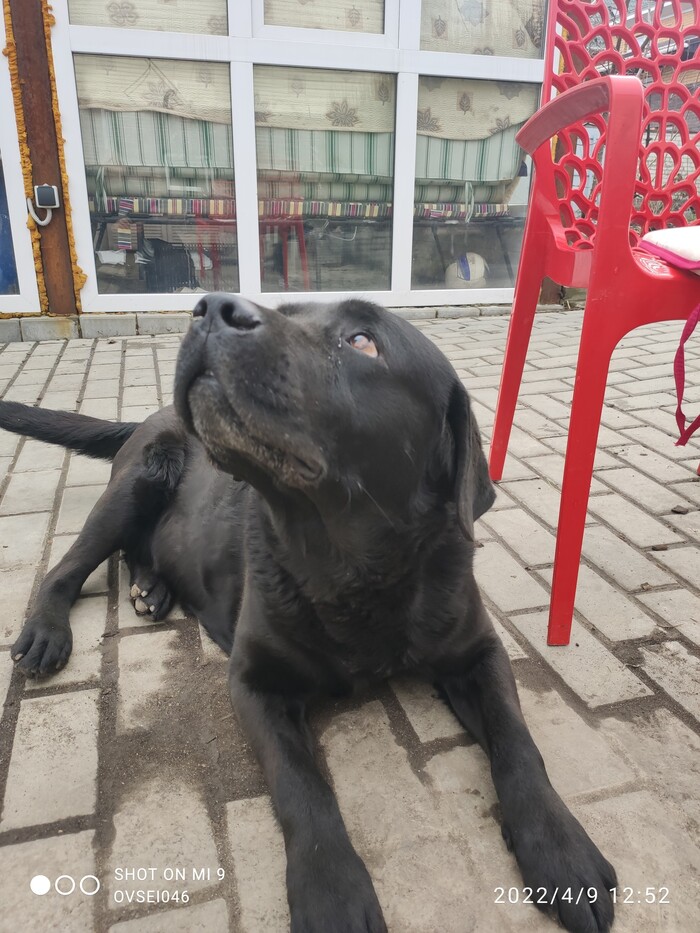 ��� �� ������� ������, ��� �� ����������