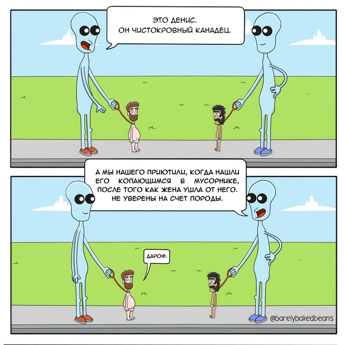 ������������ ���������