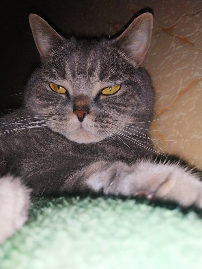 �������������� ������������