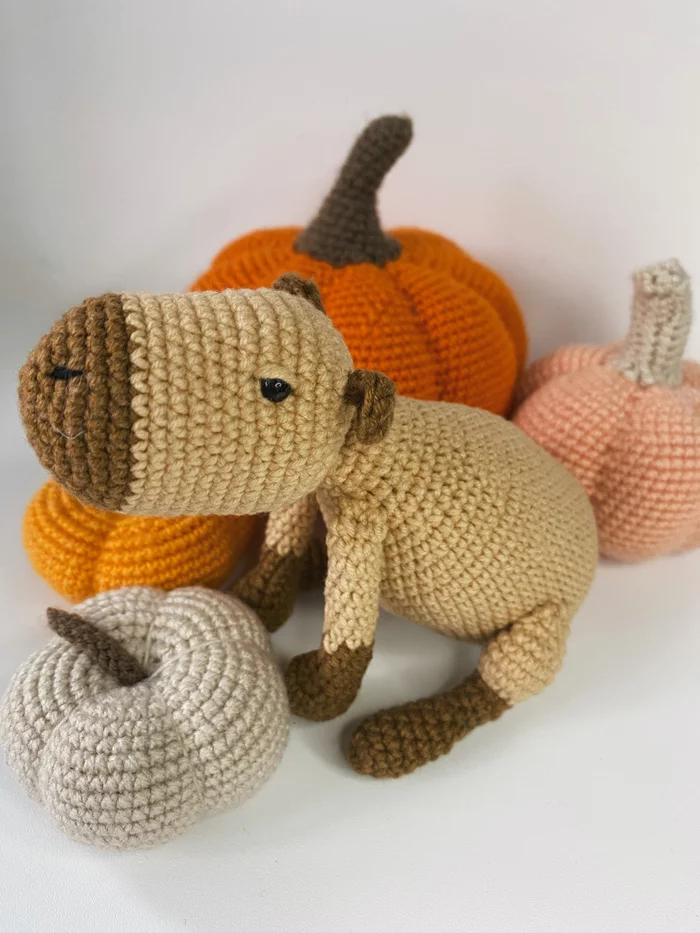 Capybara - My, Amigurumi, Needlework, Needlework without process, Creation, Hobby, Knitting, Crochet, Toys, Knitted toys, Author's toy, With your own hands, Capybara, Longpost