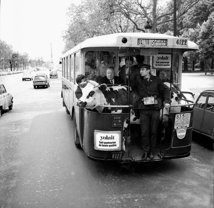 From the series, unusual historical photographs - Old photo, Black and white photo, The photo, Historical photo, Street photography