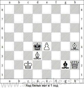 Chess problem. Checkmate in one move - Chess, Peekaboo