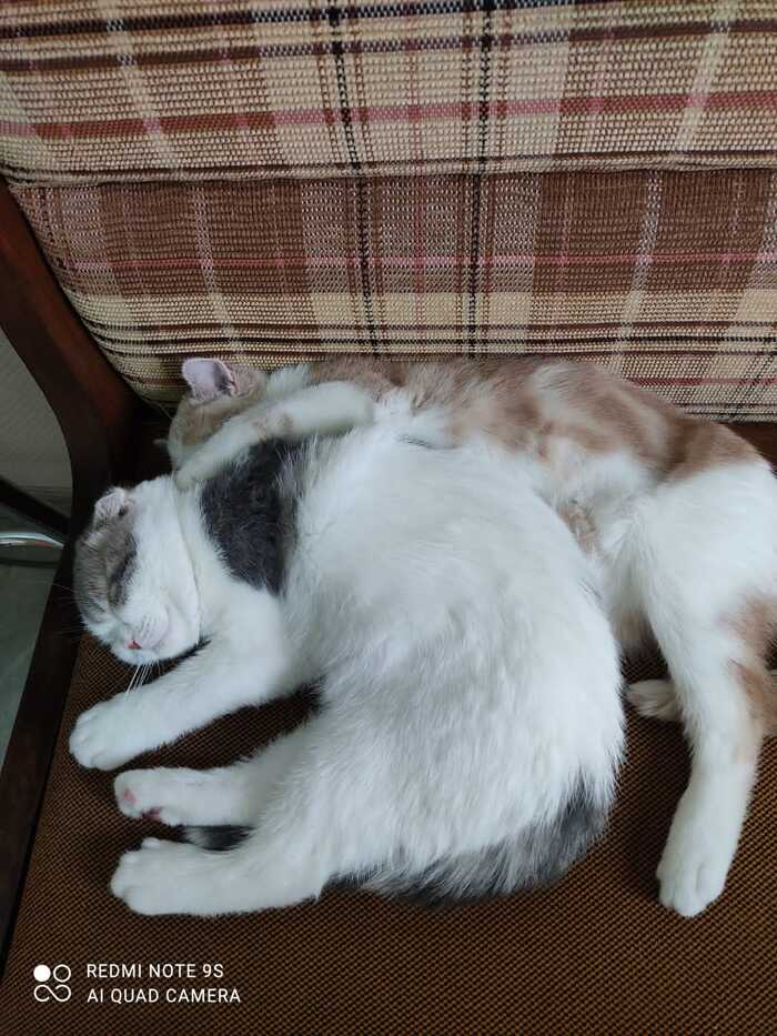  FynjyChe       , ,  , ,   , 