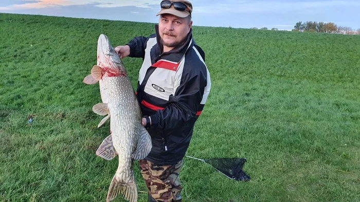 Boast for the closing of last year's season, I can't help but share - My, Fishing, Pike, Netherlands (Holland), A fish, On the river, Longpost