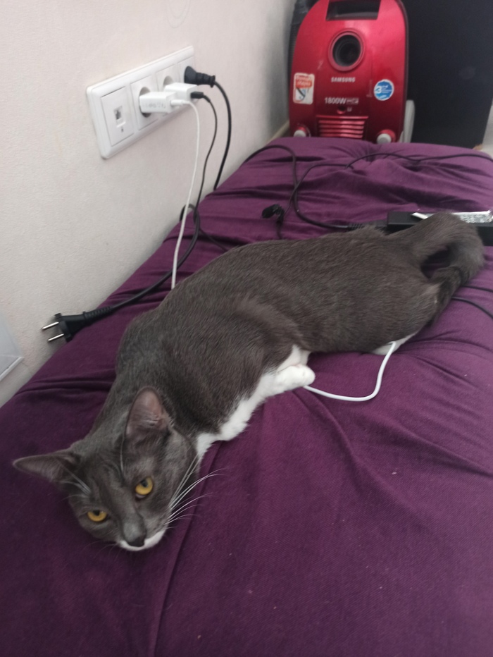 Заряжается к ночи