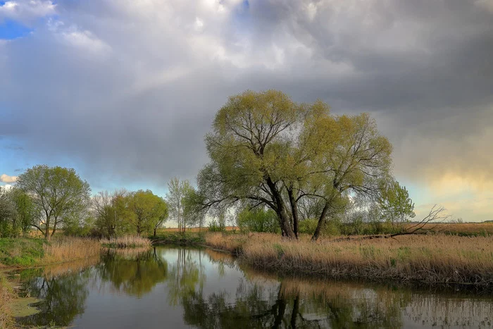 Spring - My, The photo, Spring, Nature, Walk, Canon, The nature of Russia, River