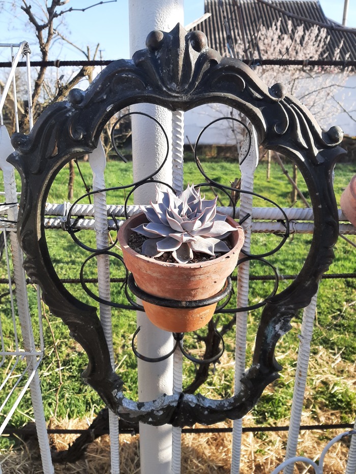 ��� �������