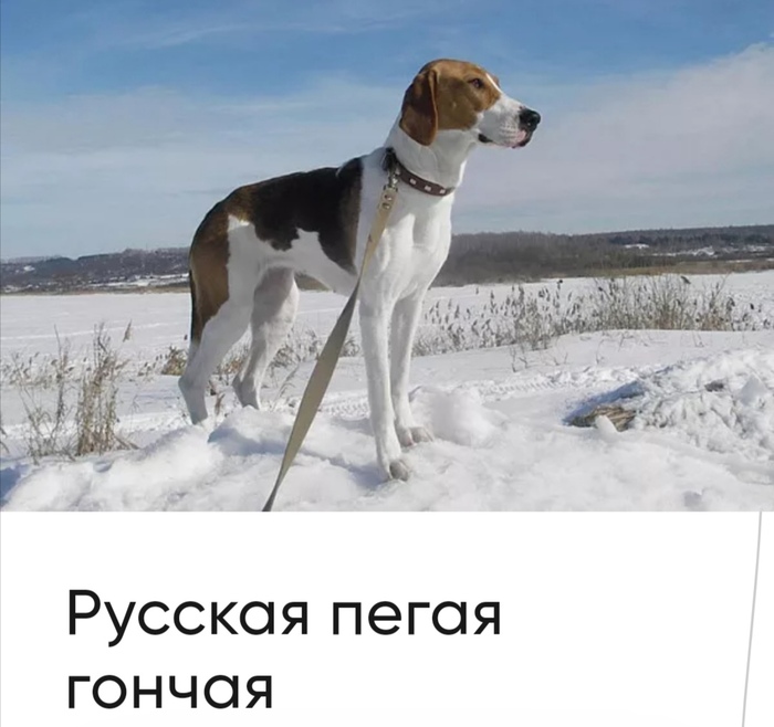   ,   ... , ,  ,  , 
