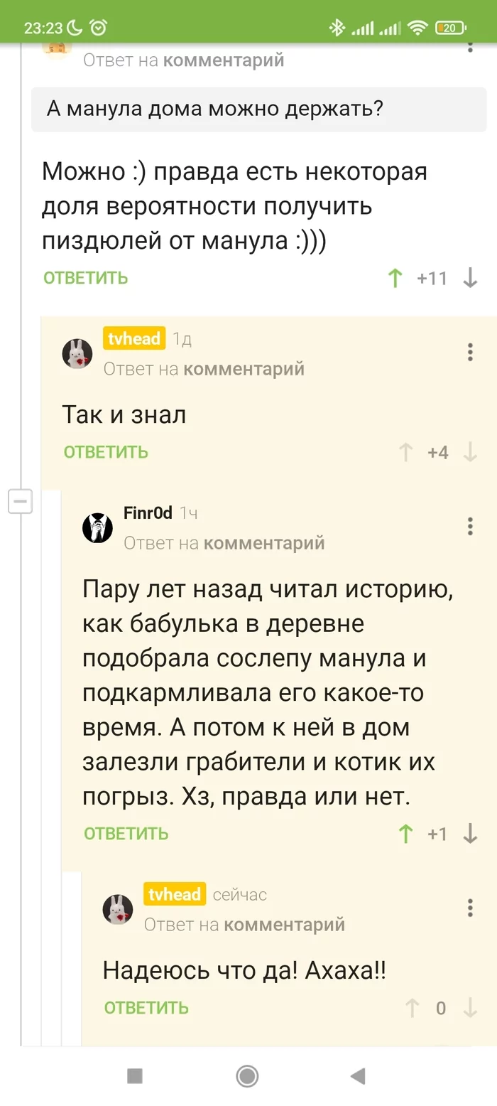 Про манула. Сила комментов Пикабу - Моё, Манул, Комментарии, Длиннопост, Скриншот, Комментарии на Пикабу, Мат