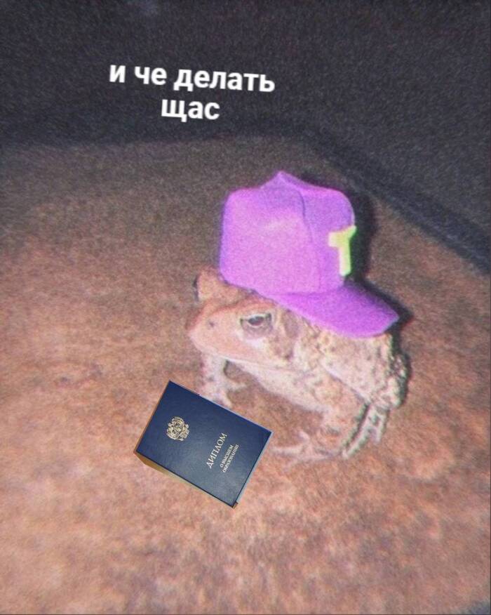 ����� ������� ������� ������ � �����: