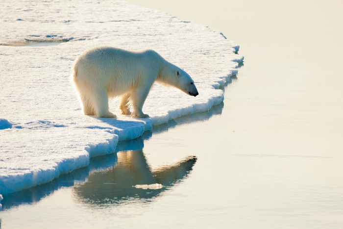 Интересненько