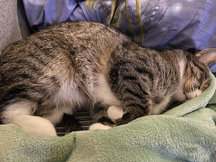 ��� ���� ����� �� ��