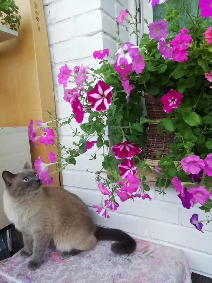 Нужен совет