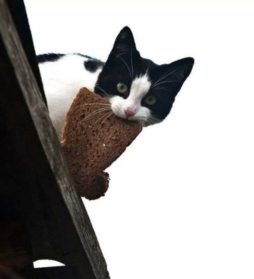 По басне Крылова