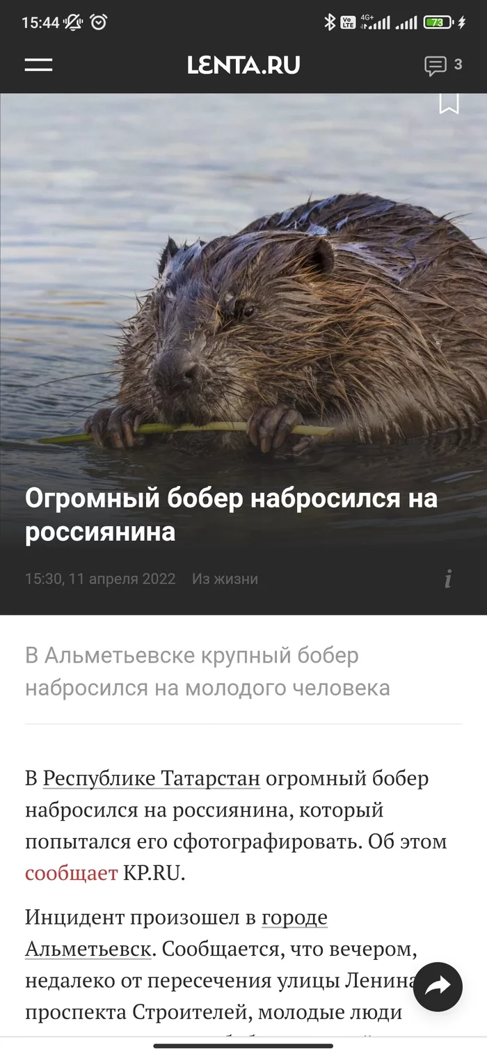 Here's the news I want to see, not yours... - news, Beavers, Longpost