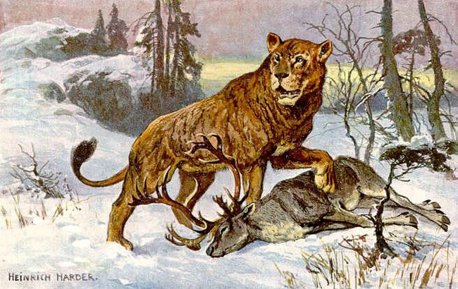 In Yakutia, cave lions once lived - Cave Lion, Paleontology, Yakutia, Pleistocene, Big cats, Predatory animals, Cat family, Wild animals, Extinct species, Prehistoric animals, a lion, Rock painting, Video, Youtube, Longpost