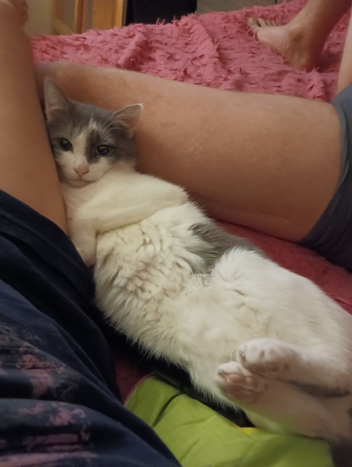 ��� ����� ����������!