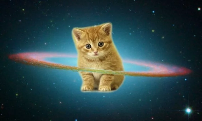 12 апреля – День космонавтики! - Моё, Космос, 12 апреля - День космонавтики, Космический корабль, Дмитрий Рогозин, Юмор, Ирония, Анекдот, Илон Маск, Кот, Звезды, Небо, Юрий Гагарин, Длиннопост, 