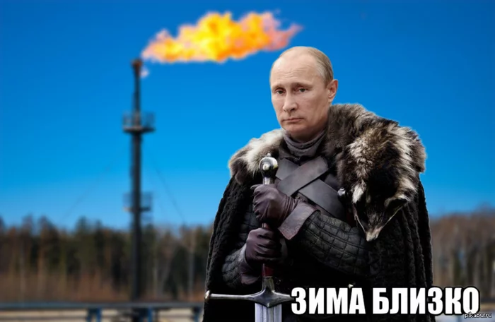Well, I couldn't, I couldn't, you know! - Politics, Opinion, Humor, Picture with text, Economy, Vladimir Putin, Frank-Walter Steinmeier, 