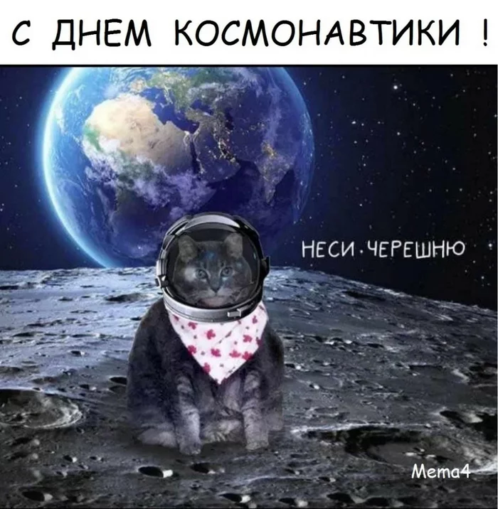 Ironic cat.... and post-ironic... - cat, Humor, Milota, Laugh, Space, April 12 - Cosmonautics Day, Cherries, Memes, Picture with text, Congratulation, 