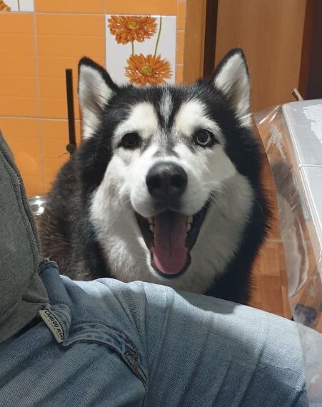 Приглашение!