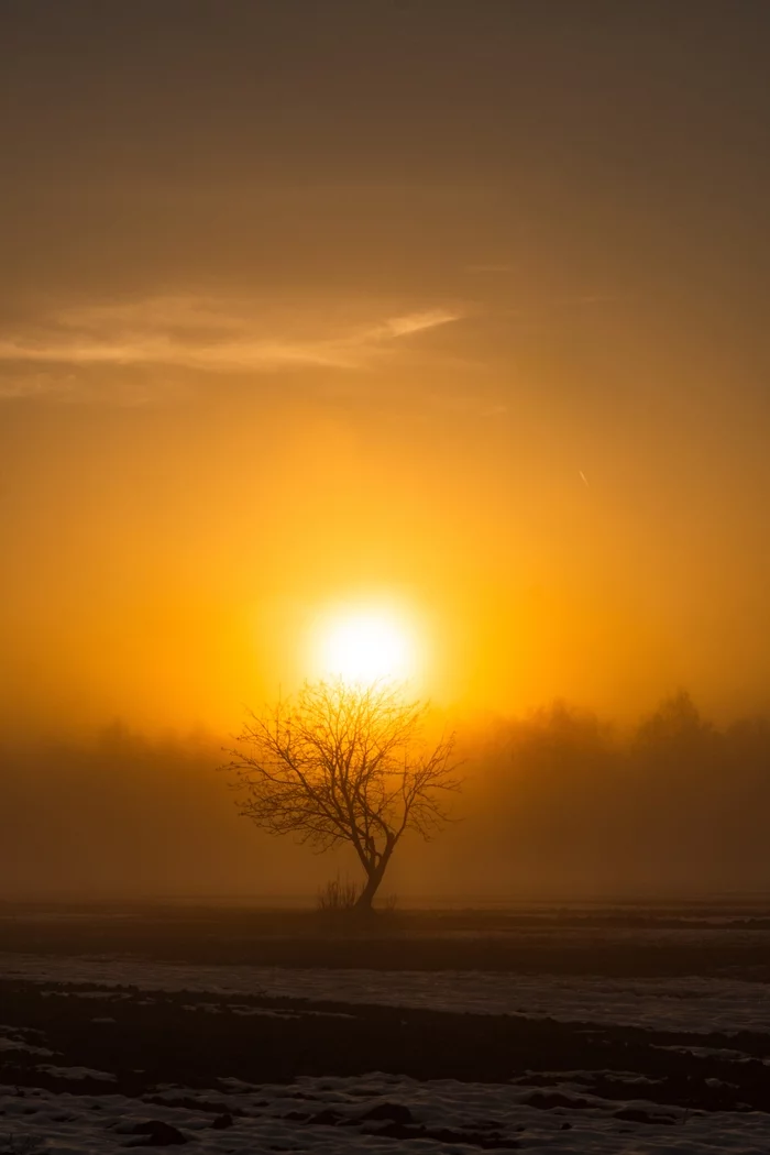 Morning harmony of light and fog. Chuvashia - My, Morning, dawn, Sony, Chuvashia, The sun, Fog, 50mm, Sunrises and sunsets, 