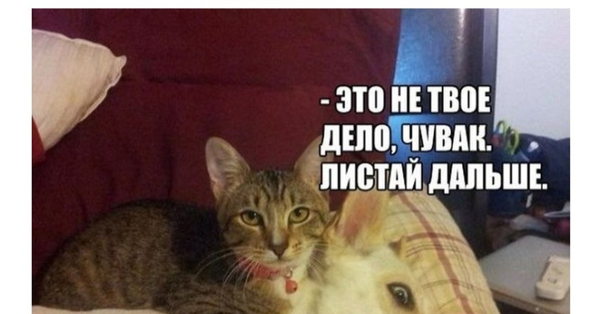 Не твое дело 3. Это не твое дело листай дальше. Листай дальше Мем. Это не твое дело чувак листай дальше. Картинка листай дальше.