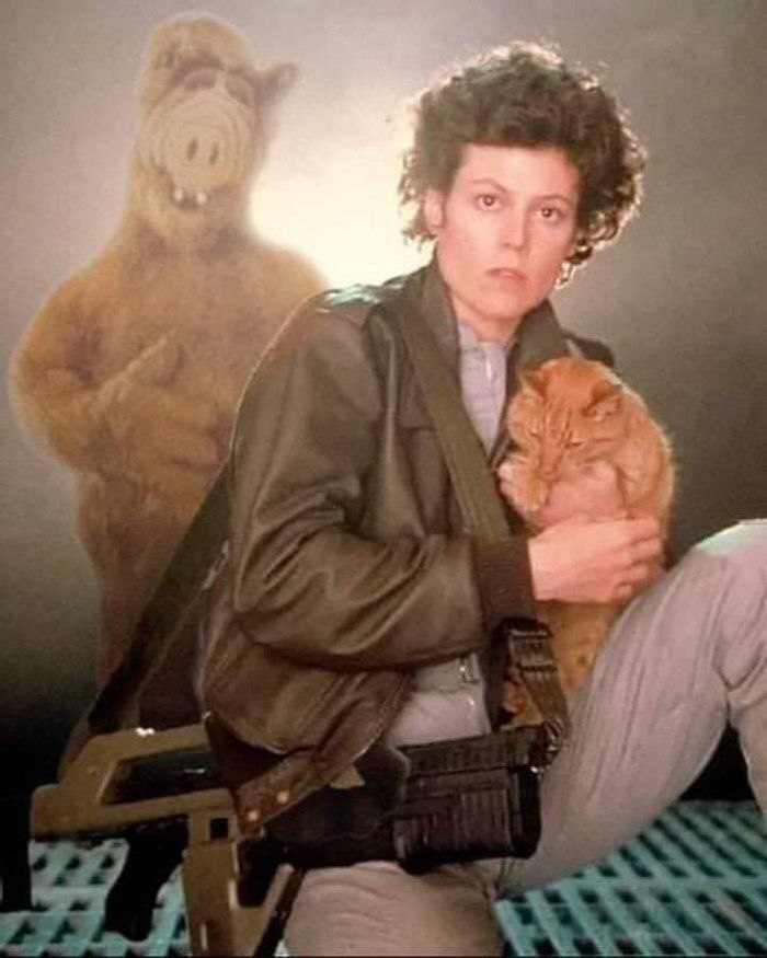 When they picked up the wrong stranger... - Jonesy, Alf, Stranger, Sigourney Weaver, cat, Crossover