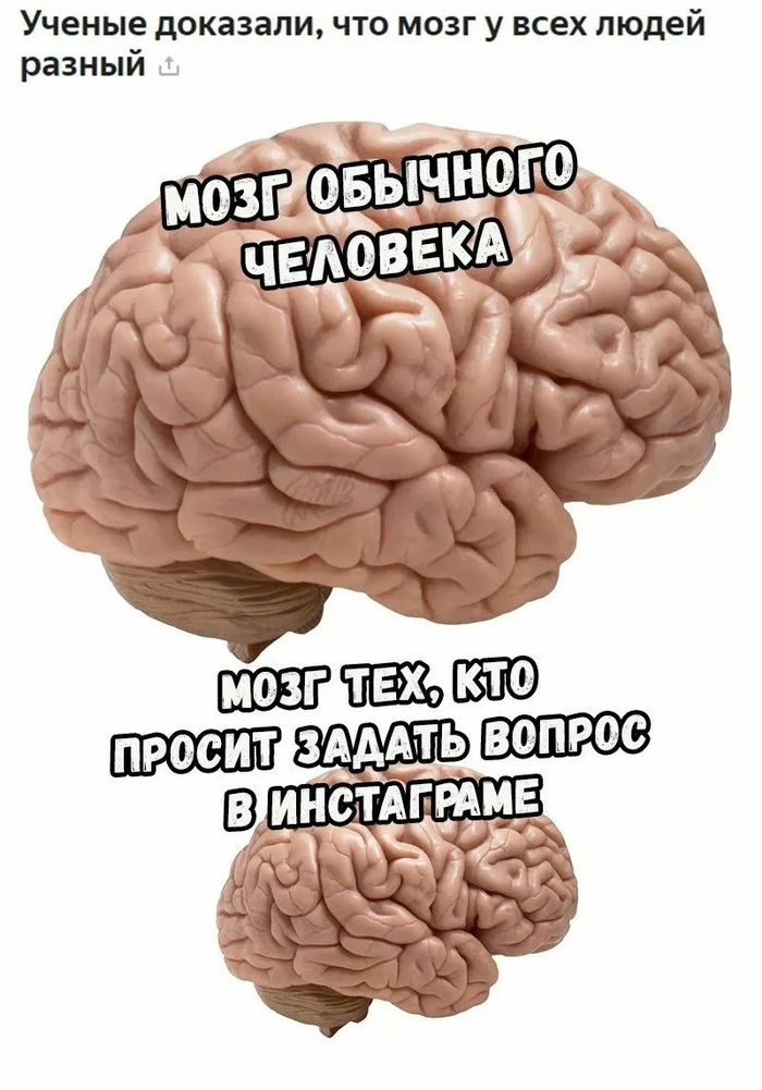 � ������� ���� ���������