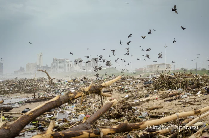 Indian Ocean, South Africa, Durban. April 13, 2022 - My, South Africa, Cataclysm, Natural disasters, Global cataclysms, Beach, Longpost