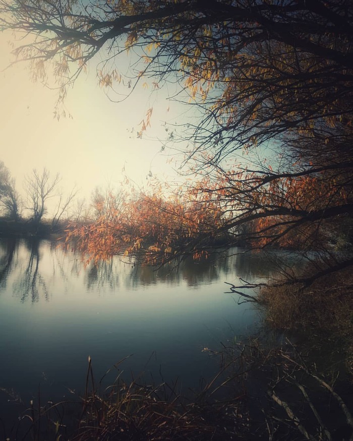 ����� ����