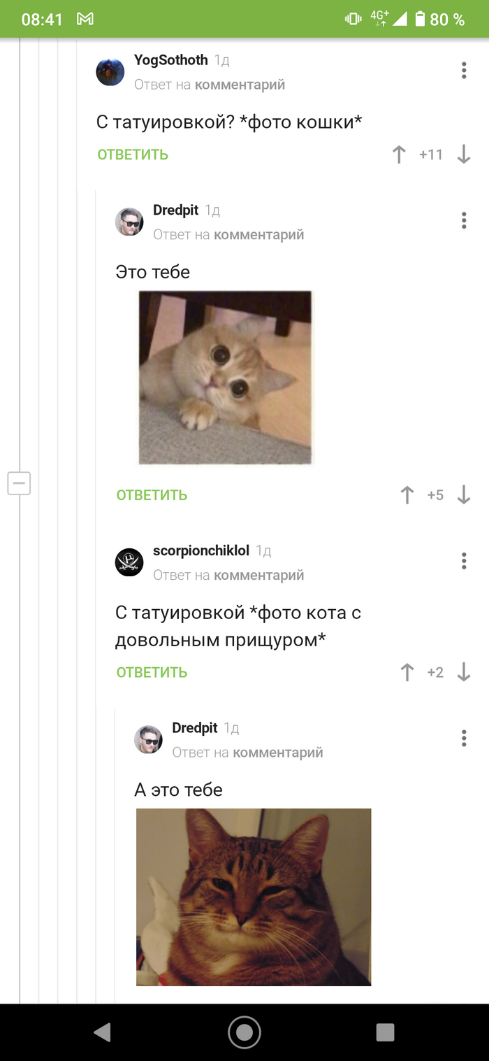 Котофотоснабжение