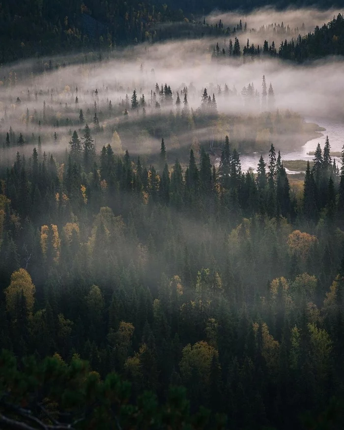 Remote forests around the Colva River - Perm Territory, Ural, Colva, River, Forest, Fog, The nature of Russia, Travel across Russia, beauty of nature, The photo