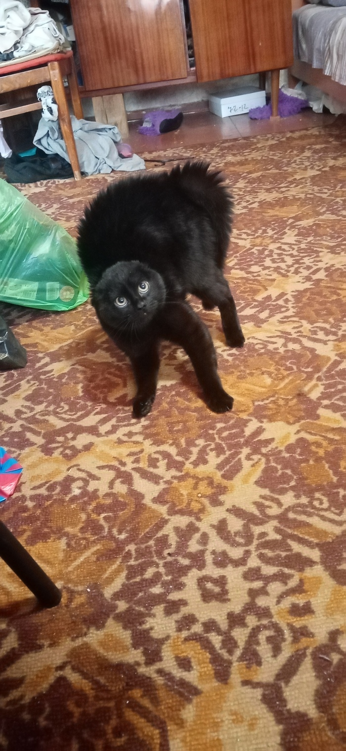 ������ �����)