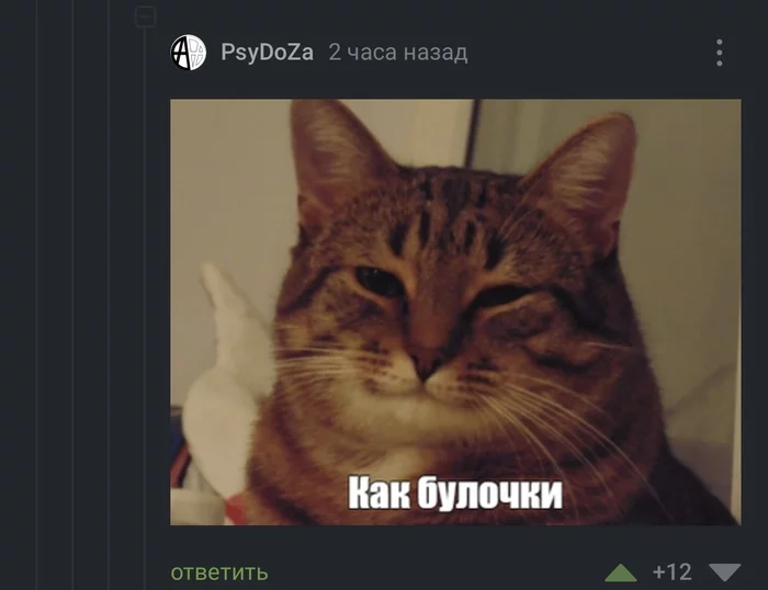 Варп драйв эктив - Комментарии, Космос, Длиннопост, Комментарии на Пикабу, Скриншот, Кот, Мемы
