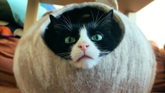 �� ��� �����? � ��� �� ����...