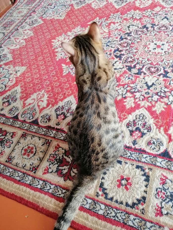 �������� ����� ���� � ������, ��� � ����� �� �����