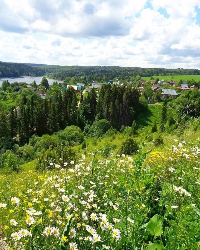 Деревня Сибирь, Пермский край - Пермский край, Деревня, Фотография, Природа, Лето, Лес