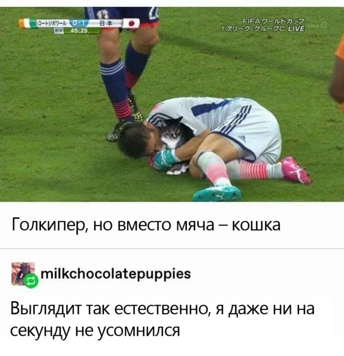 Hugs - Memes, cat, Screenshot, Football, Goalkeepers