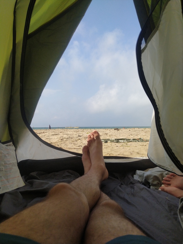 ������ ���� ������ ������ 2021