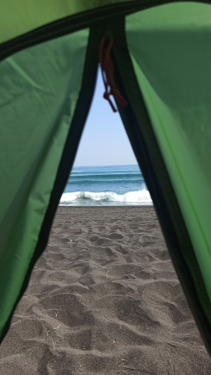 А из нашего окна... Июль 2021 года, Камчатка, Халактырский пляж Камчатка, Жизнь удалась, Доброе утро