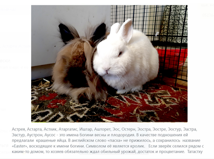 Мультикультурное