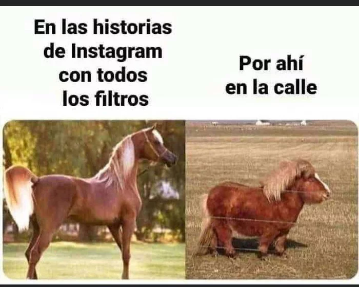 In any social. mesh - Horses, Instagram, Instagrammers, Filter, No filters, Girls, Humor, Spanish language, Translation, Picture with text