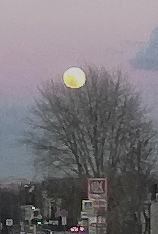Луна сегодня Фото на тапок, Луна, Город